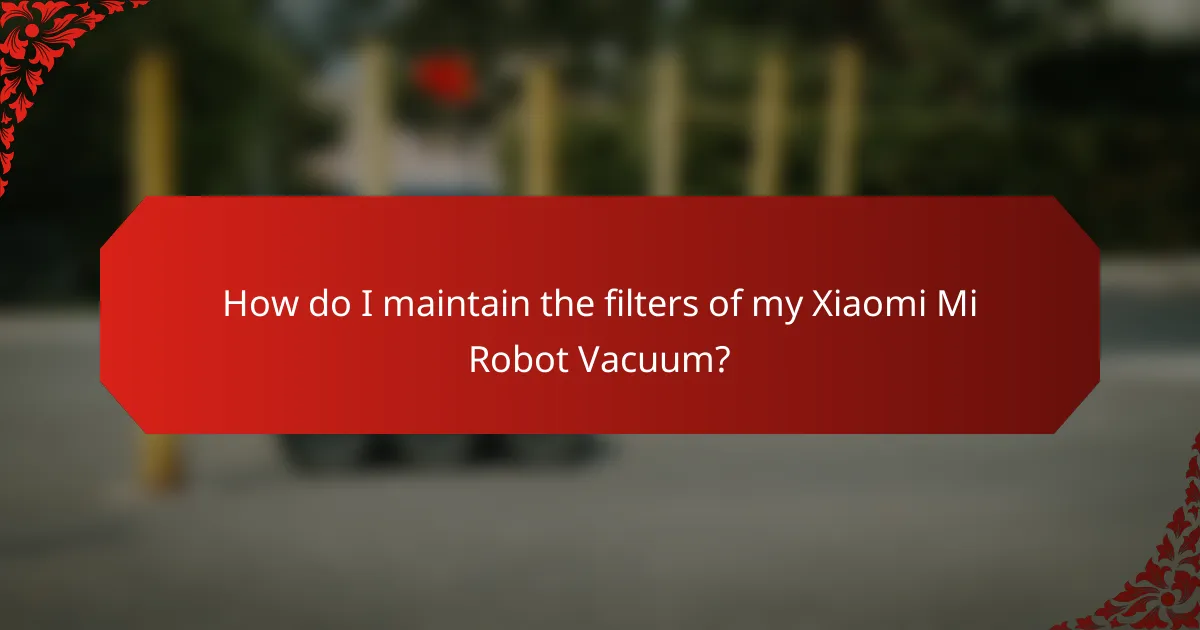 How do I maintain the filters of my Xiaomi Mi Robot Vacuum?