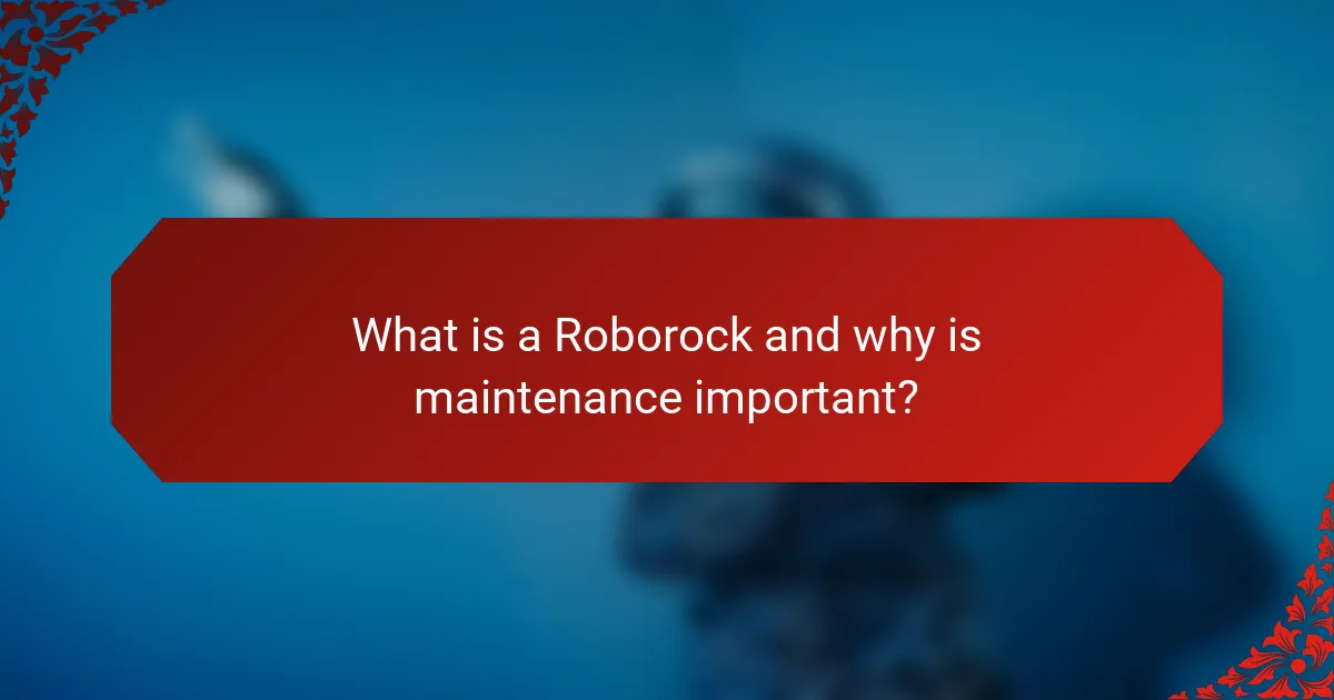 What is a Roborock and why is maintenance important?